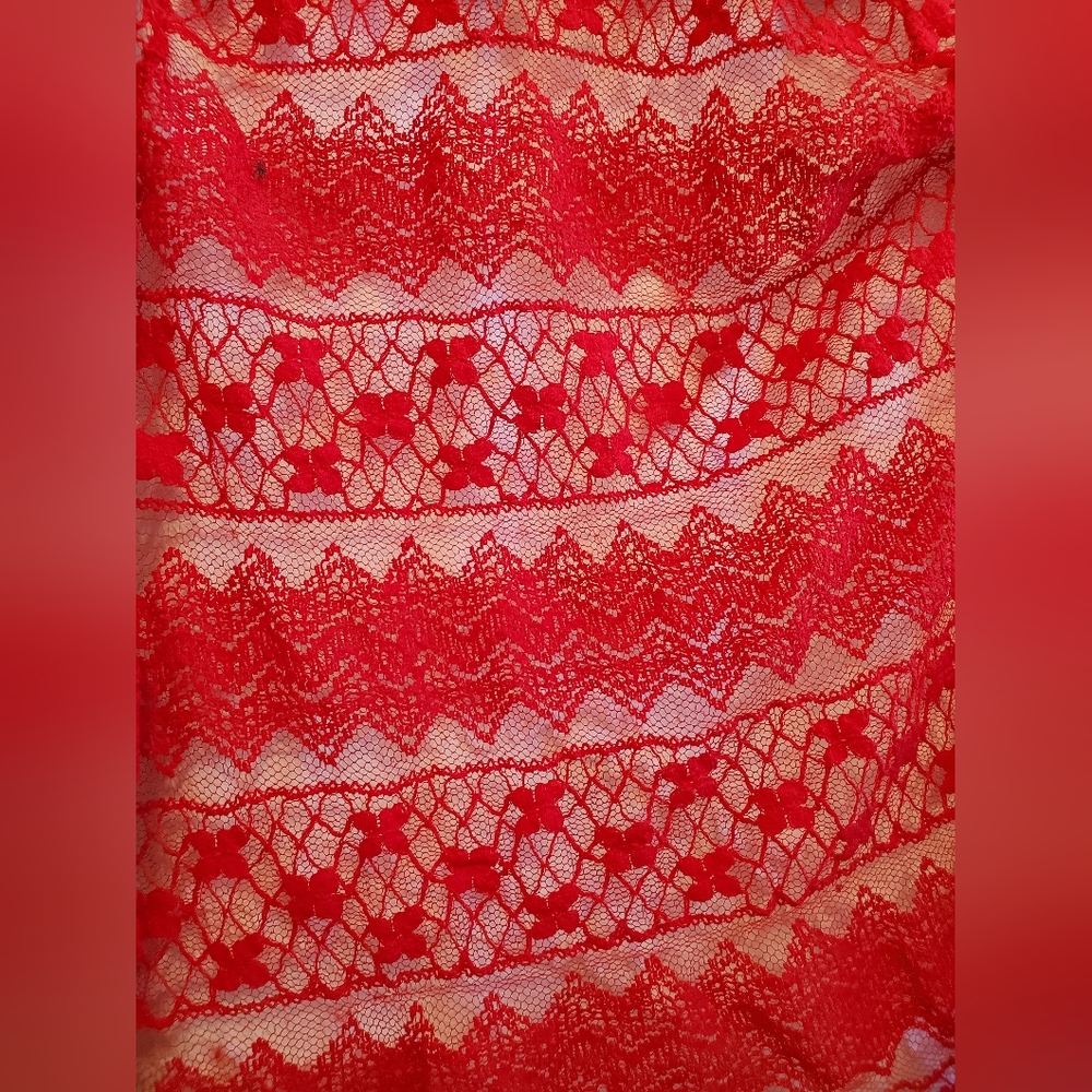 Sheer Red Lace - Picture 9 of 9
